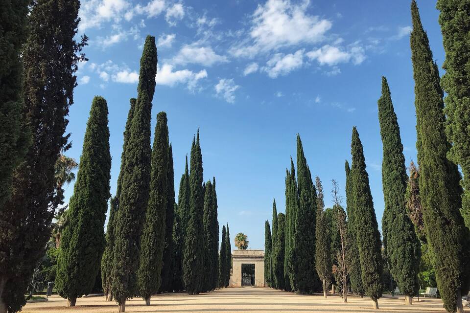 A symmetrical garden with tall cypress trees and a central archway.