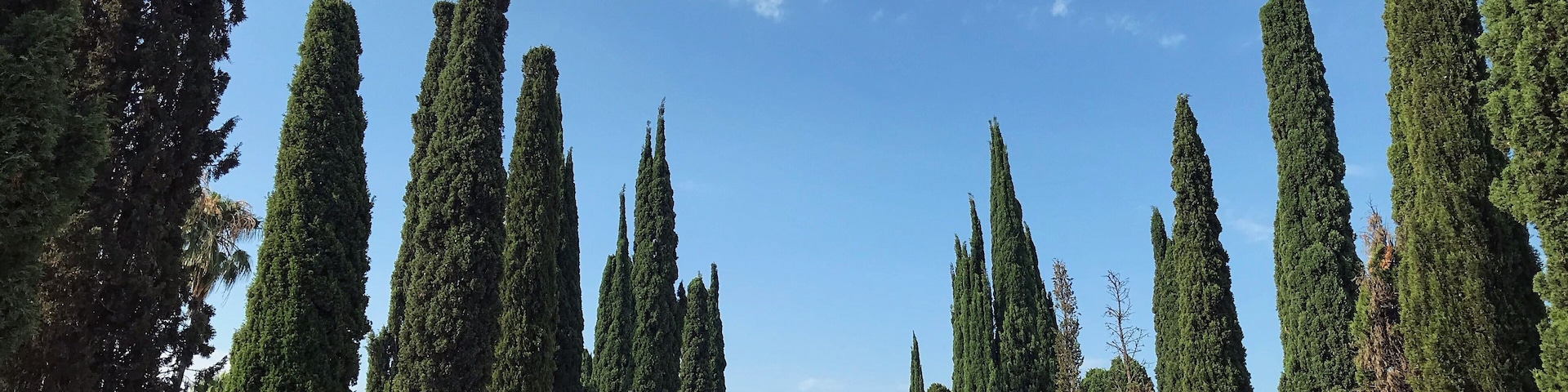 A beautiful spot for a walk away from the main city.