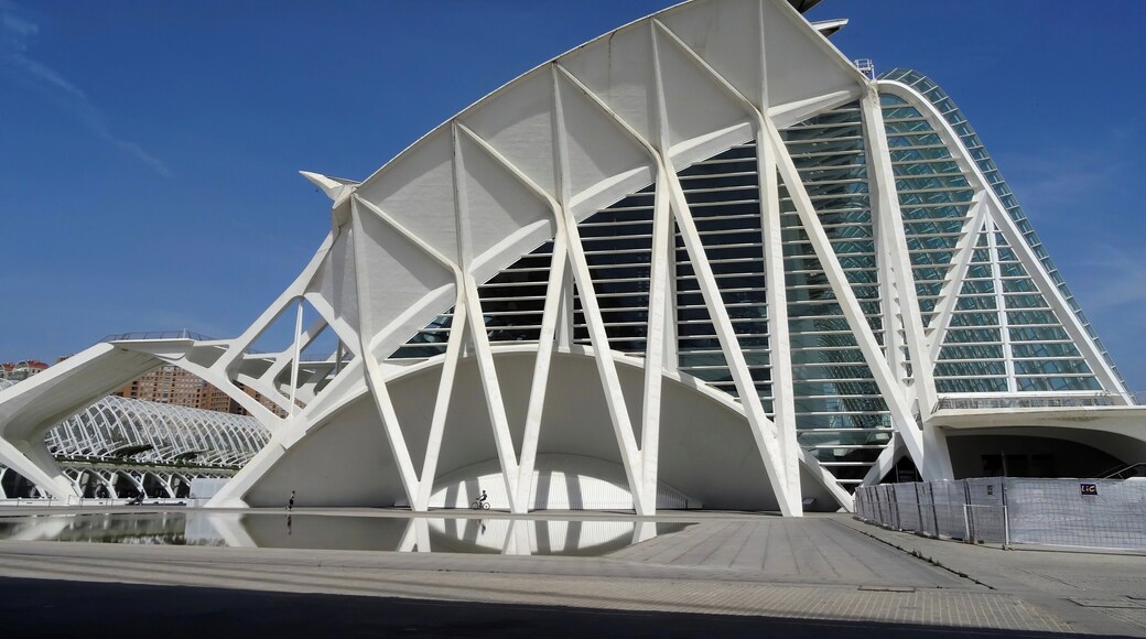 #spain #valencia #Calatrava #architecture
The City of Arts and Sciences is a huge complex that has several buildings, among them, L'Hemisfèric, El Museu de les Ciències Príncipe Felipe, L'Oceanogràfic and El Palau de les Arts Reina Sofia. The architectural project is by the famous architect Santiago Calatrava and Félix Candela. It is worth spending a day just for this complex.
A Cidade das Artes e Ciências é um enorme complexo que possui diversas construções, entre elas, L'Hemisfèric, El Museu de les Ciències Príncipe Felipe, L'Oceanogràfic e El Palau de les Arts Reina Sofia. O projeto arquitetônico é do famoso arquiteto Santiago Calatrava e de Félix Candela. Vale a pena dedicar um dia só para este complexo.