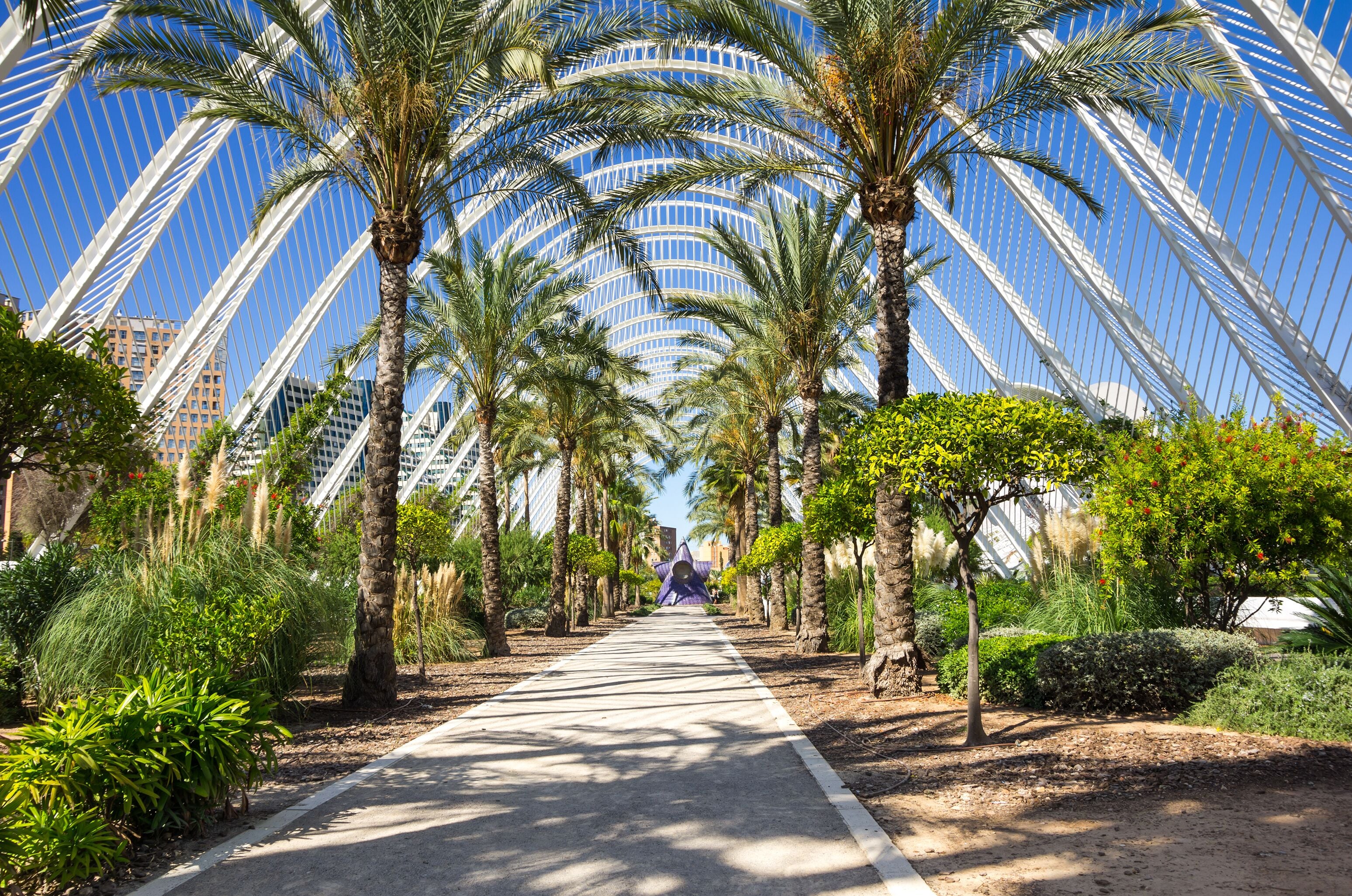 Palm alley in the City of Arts and Sciences (Ciudad de las artes y las ciencias) in Valencia, Spain