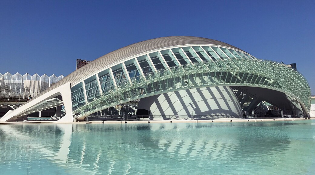 L'Hemisfèric. Also worth visiting to watch a film, as it has an impressive dome shaped IMAX screen inside. Watching the Apollo 11 film was amazing.