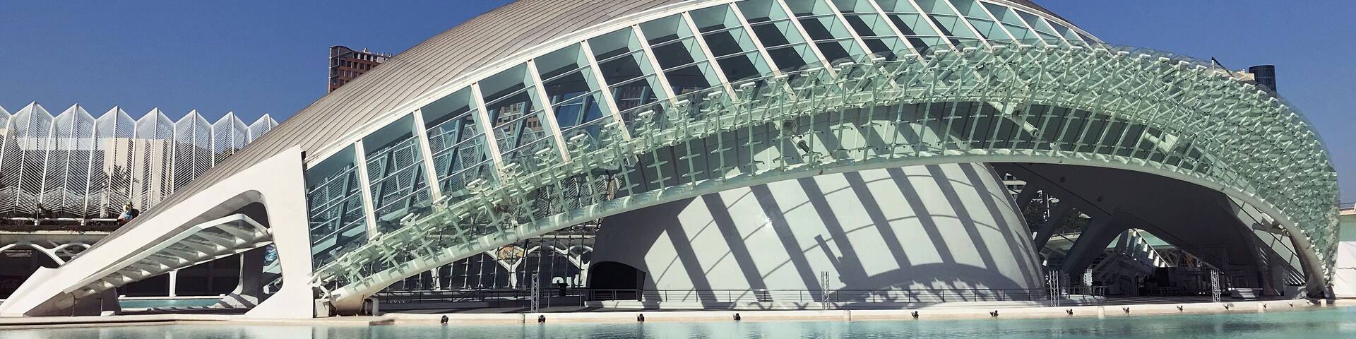 L'Hemisfèric. Also worth visiting to watch a film, as it has an impressive dome shaped IMAX screen inside. Watching the Apollo 11 film was amazing.