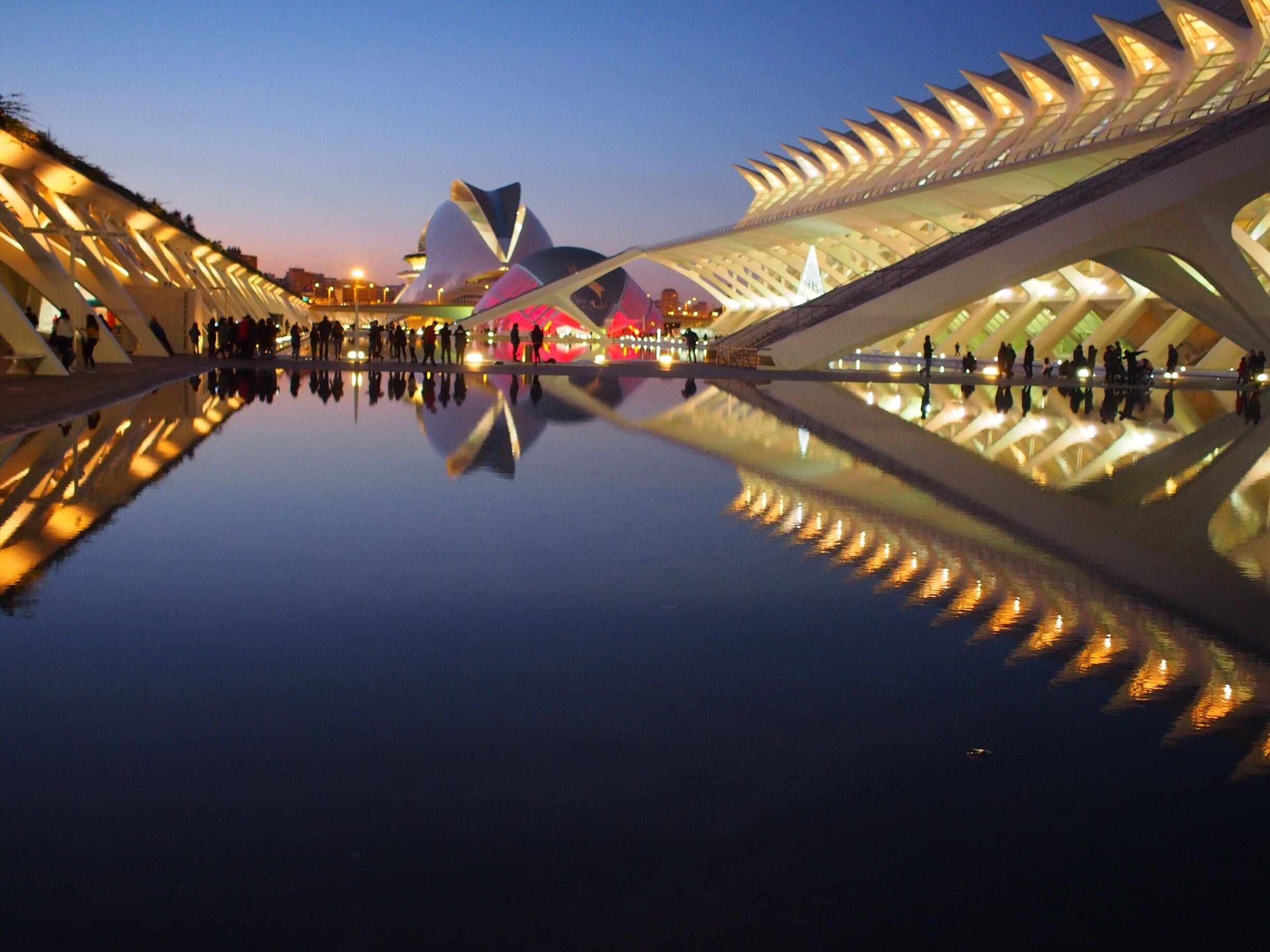 A photographer's dream...the City of Arts and Sciences