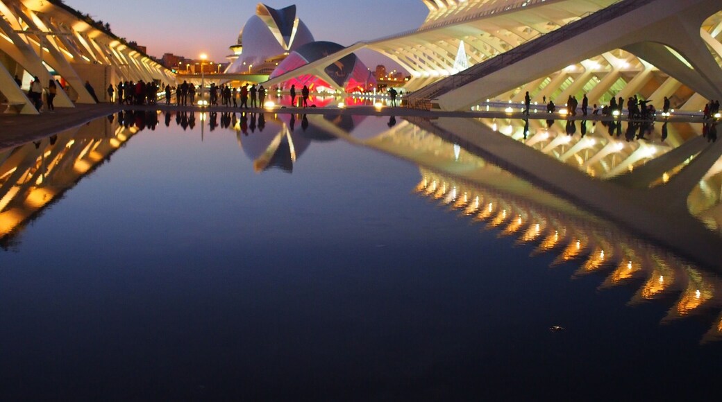 A photographer's dream...the City of Arts and Sciences