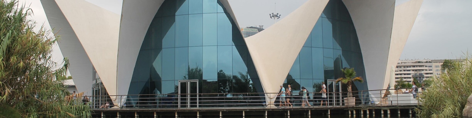 Fantastic modern architecture at the city of Arts and Sciences