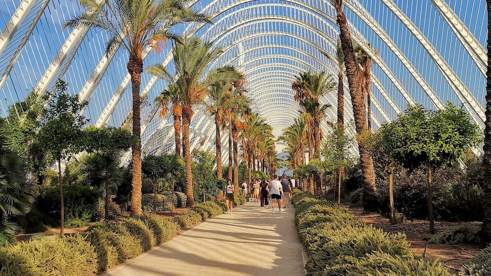 A pathway flanked by palm trees under a large, arched glass structure.
