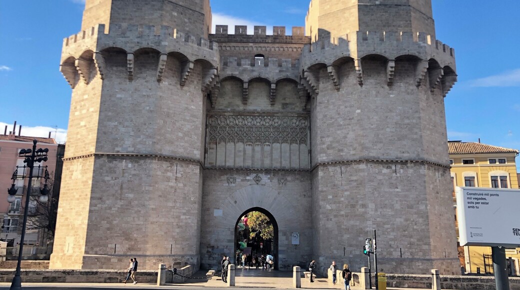 Serranos Gate, one of 12 gates to form part of the ancient wall around the city of Valencia, Spain. Built at the end of the 14th century
#Trovember photo contest!