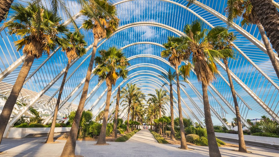 A pedestrian walkway lined with palm trees and a modern glass structure overhead.