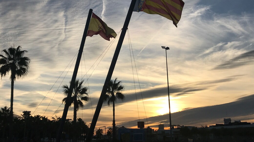 Great port of Velencia #lifeatexpedia