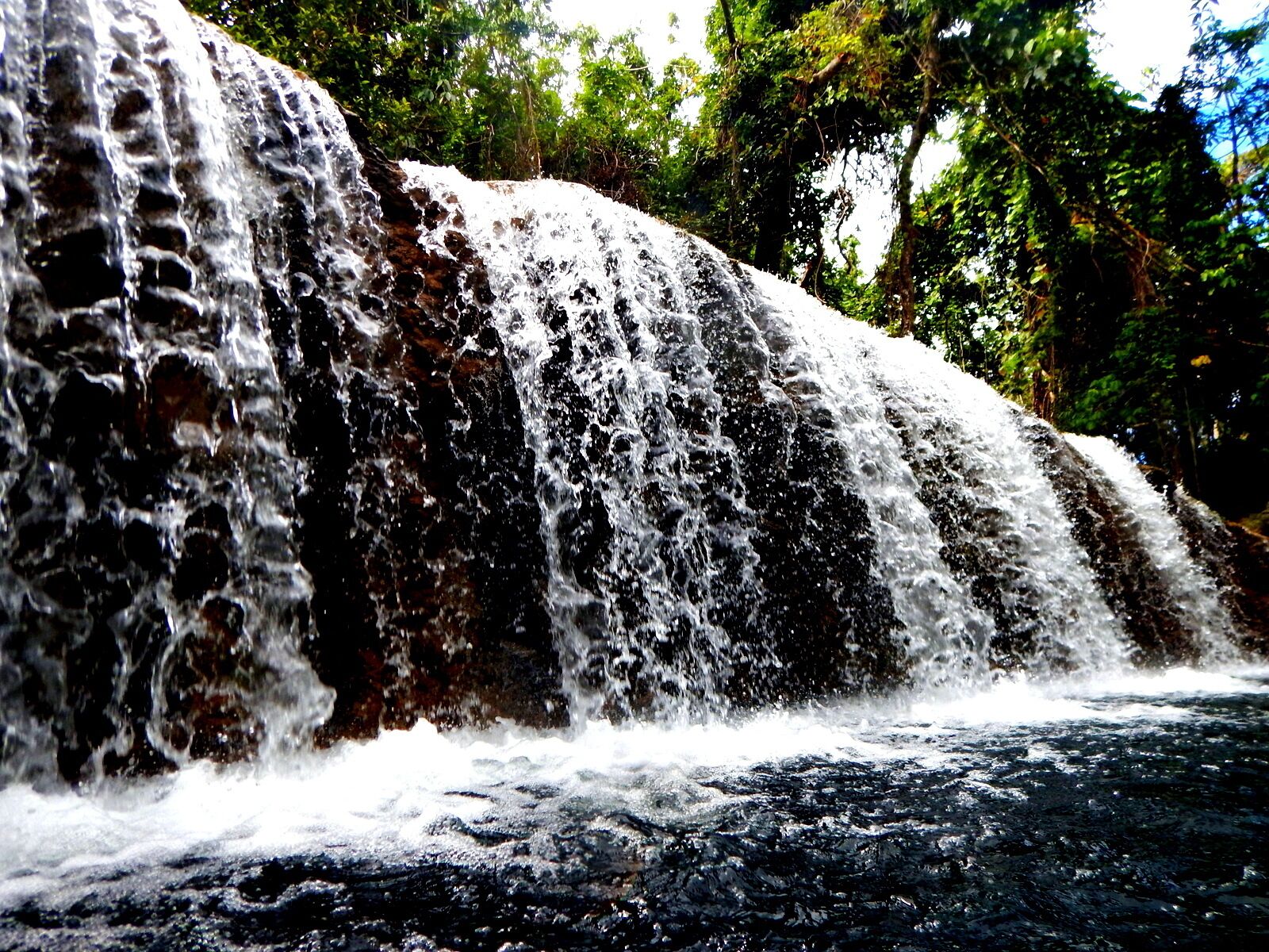 Eden on the River located in Port Vila and a great day out - it is like paradise. Green pastures and spots of colour from the flowers that are returning after the Cyclone  This Plantation consists of its own rainforest and the river system runs through their land. Tropical waterfalls are the highlight and this is where we were able to go tubing.
