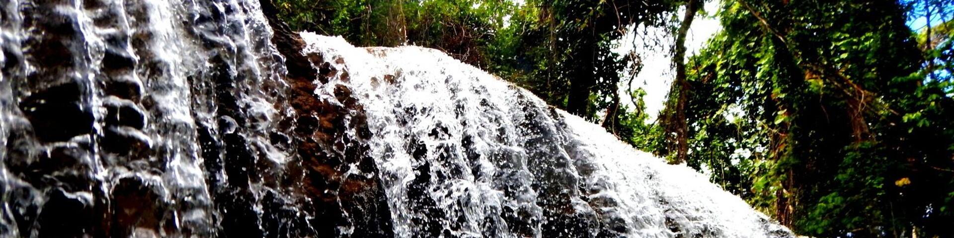 Eden on the River located in Port Vila and a great day out - it is like paradise. Green pastures and spots of colour from the flowers that are returning after the Cyclone This Plantation consists of its own rainforest and the river system runs through their land. Tropical waterfalls are the highlight and this is where we were able to go tubing.