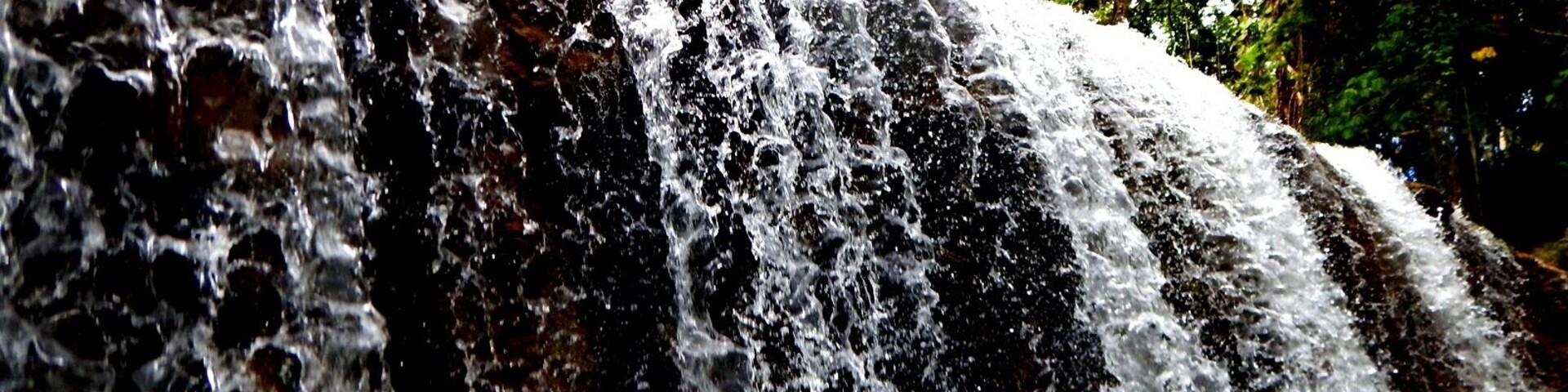 Eden on the River located in Port Vila and a great day out - it is like paradise. Green pastures and spots of colour from the flowers that are returning after the Cyclone This Plantation consists of its own rainforest and the river system runs through their land. Tropical waterfalls are the highlight and this is where we were able to go tubing.