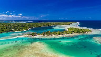 Una isla tropical con aguas turquesas cristalinas, vegetación verde exuberante y una playa arenosa.
