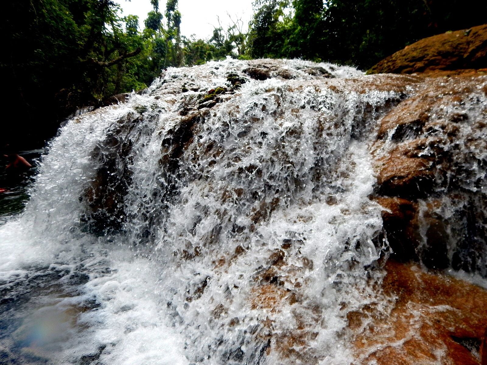 Eden on the River located in Port Vila and a great day out - it is like paradise. Green pastures and spots of colour from the flowers that are returning after the Cyclone  This Plantation consists of its own rainforest and the river system runs through their land. Tropical waterfalls are the highlight and this is where we were able to go tubing.

