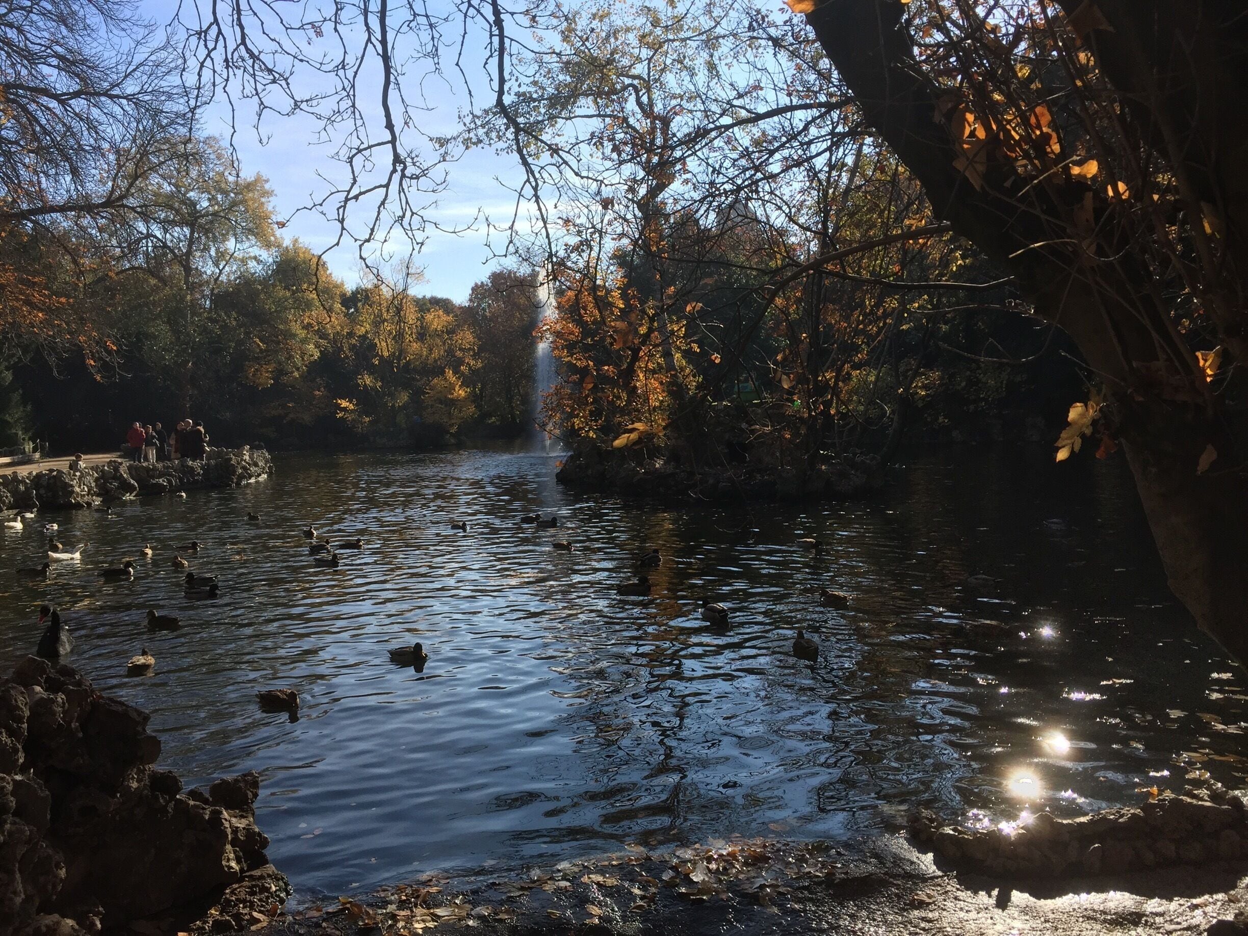 El Campo Grande de Valladolid un remanso de paz en pleno centro de Valladolid. El otoño es la época del año en que más me gusta visitarlo. Si estás de visita en Valladolid no puedes dejar de verlo