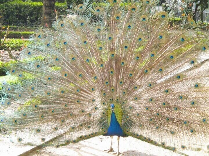 Nice look little guy...