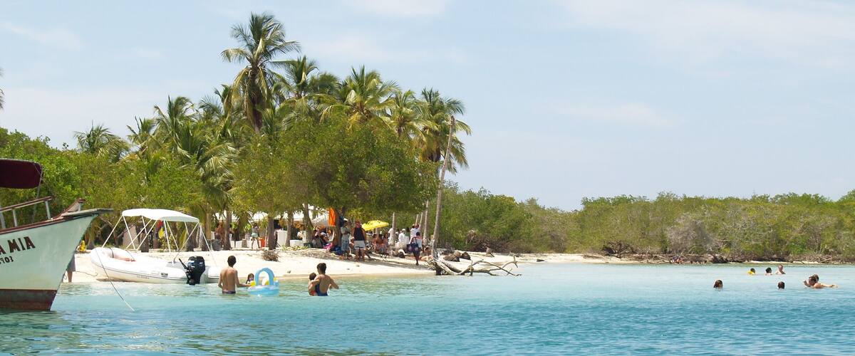 A beach with palm trees, people swimming, and boats in the water.