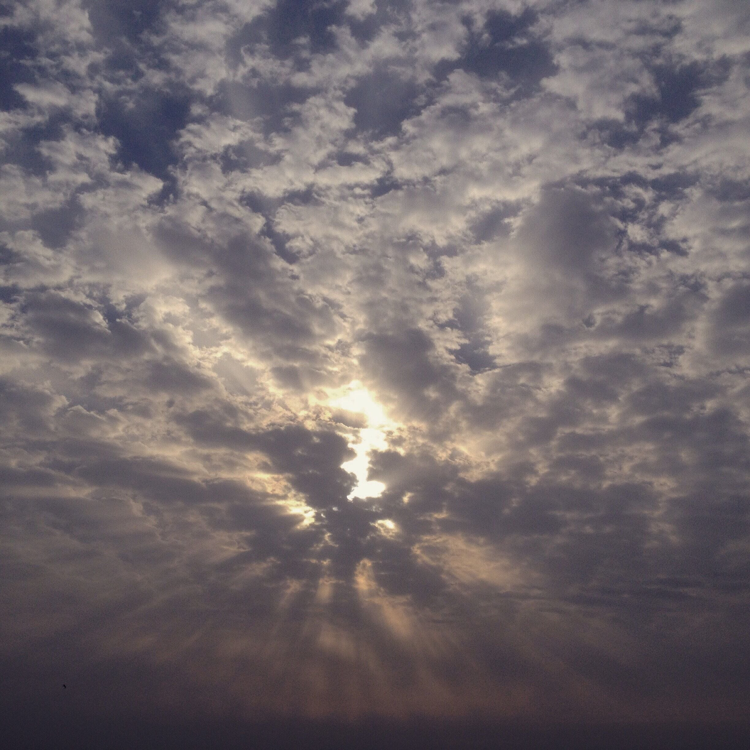 From the spot which made me watch different types of sunrises each time. I couldn't be more thankful! #sunrise #morning #ahmedabad #bruisedpassports 