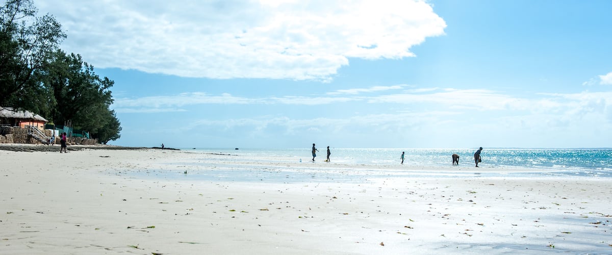A beach with people walking along the shore, a thatched-roof hut, and a line of trees in the background.
