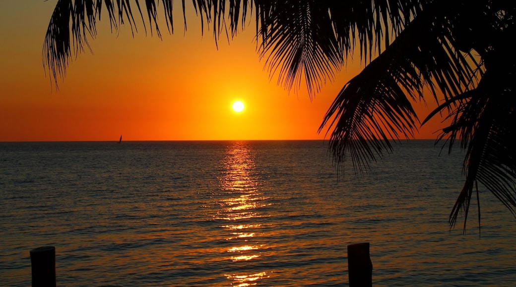 It doesn't look like, but this is the sunrise around 4.15 from our porch