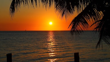 It doesn't look like, but this is the sunrise around 4.15 from our porch