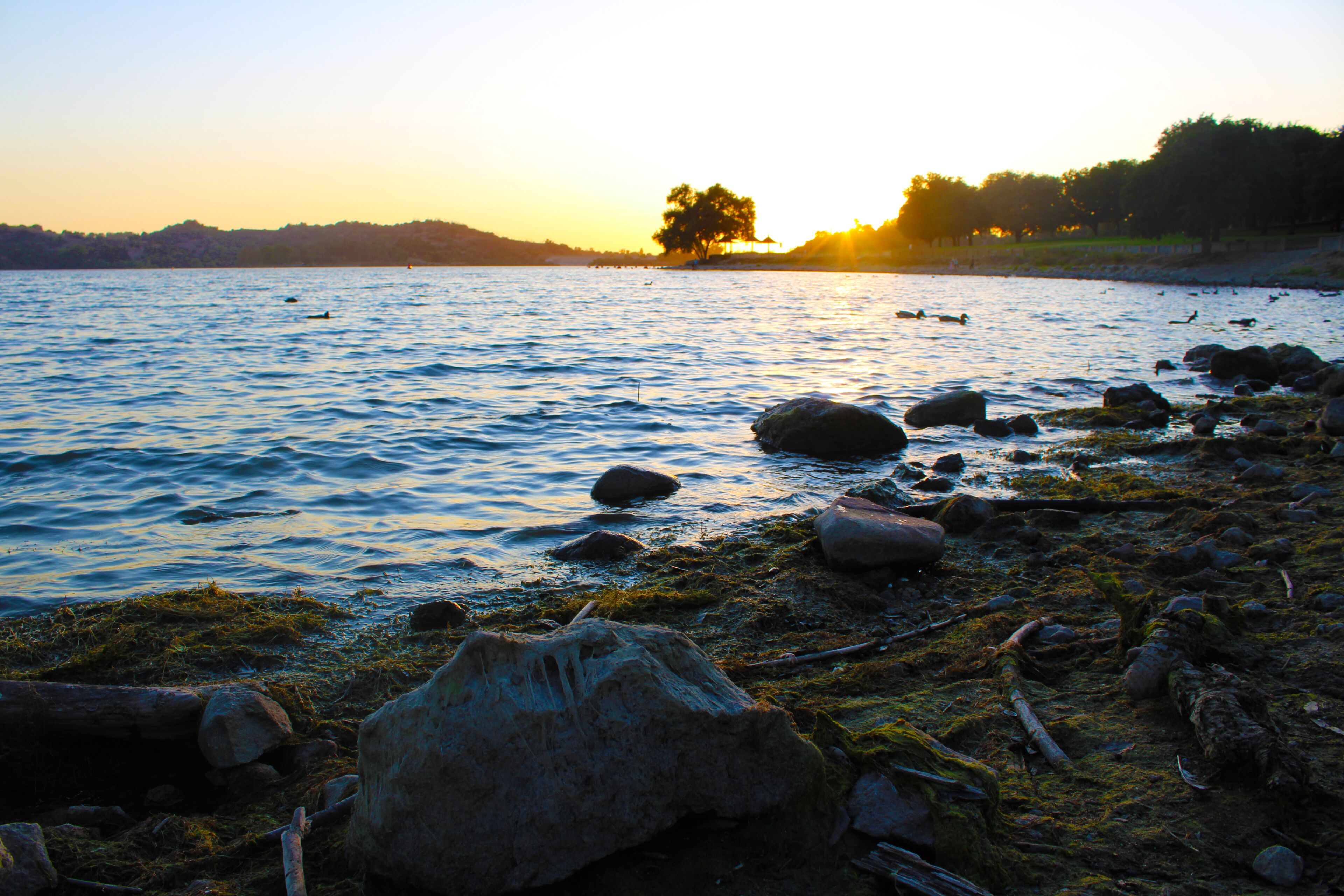 a stunning shot of the vast blue lake water surrounded by lush green trees at sunset with birds and rocks on the banks of the lake at Lake Balboa in Van Nuys California USA