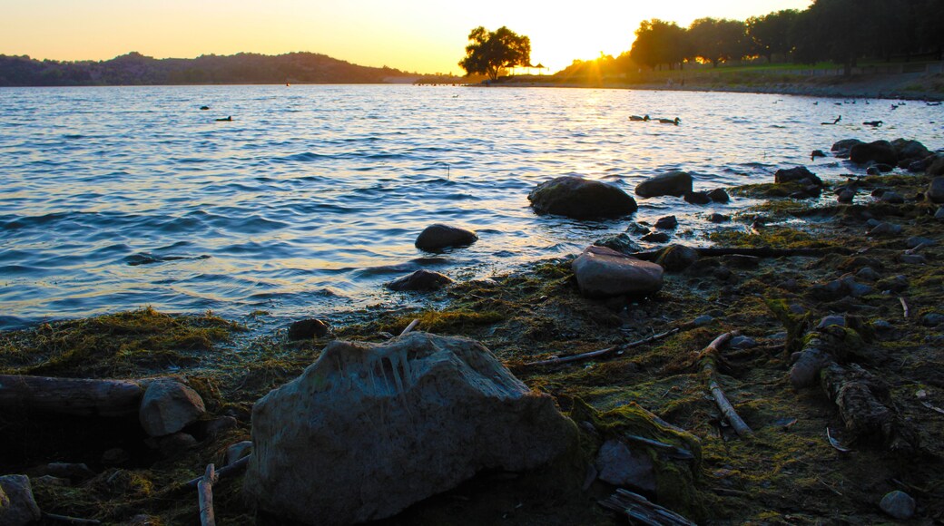 a stunning shot of the vast blue lake water surrounded by lush green trees at sunset with birds and rocks on the banks of the lake at Lake Balboa in Van Nuys California USA