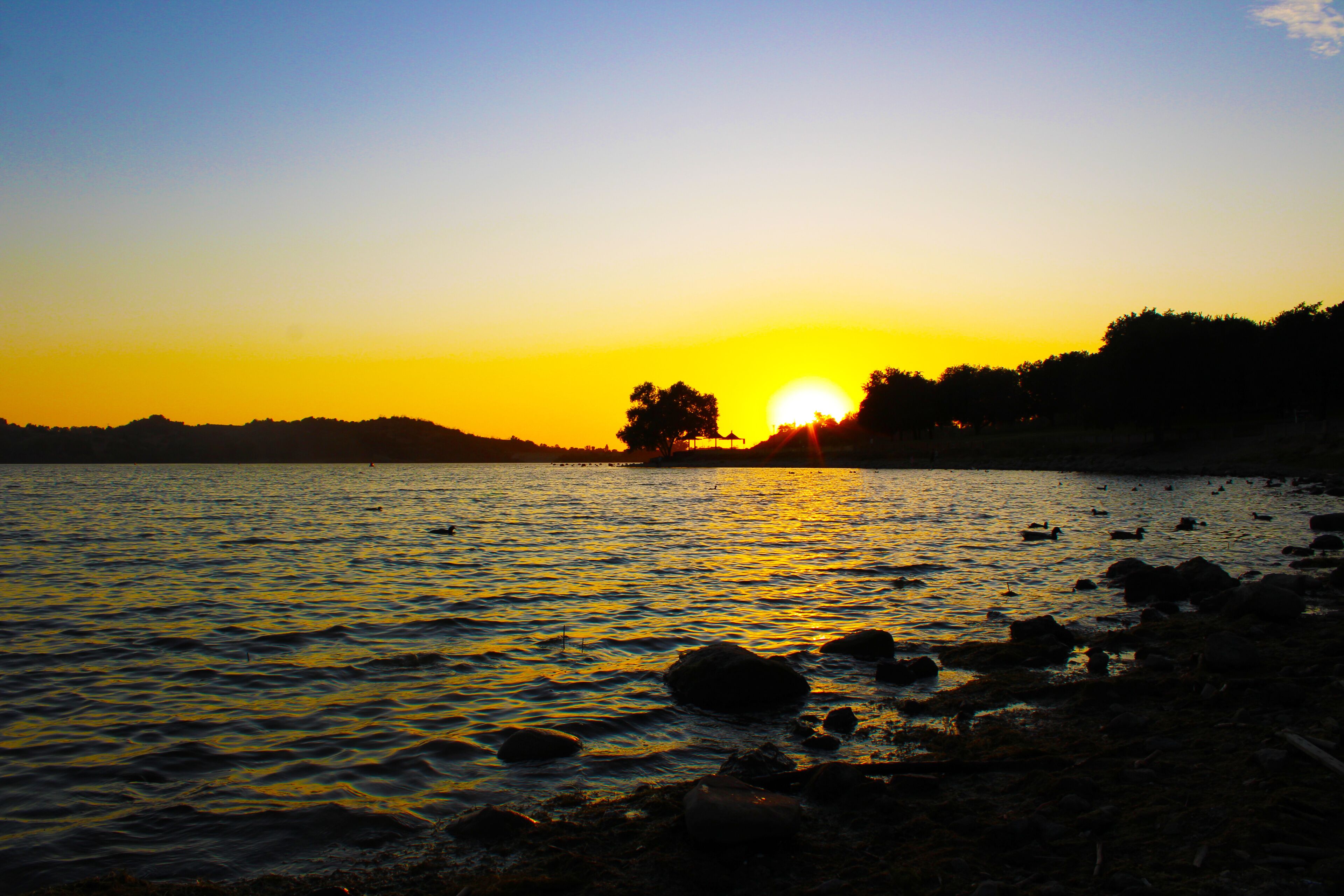 a stunning shot of the vast blue lake water surrounded by lush green trees at sunset with birds and rocks on the banks of the lake at Lake Balboa in Van Nuys California USA