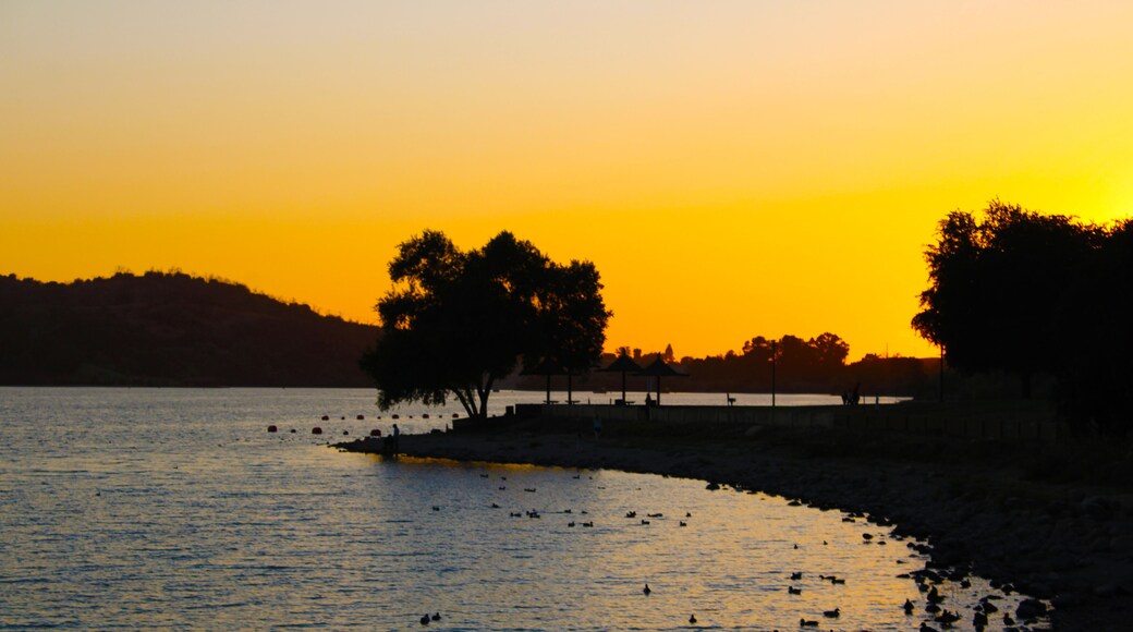 a stunning shot of the vast blue lake water surrounded by lush green trees at sunset with birds and rocks on the banks of the lake at Lake Balboa in Van Nuys California USA