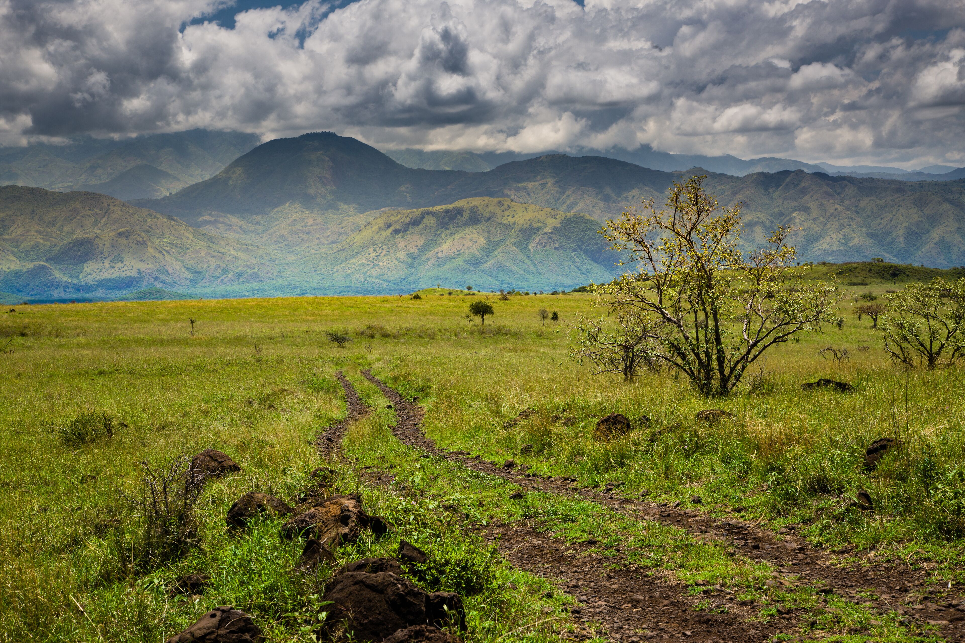 Nechisar National Park (Arba Minch, Ethiopia)