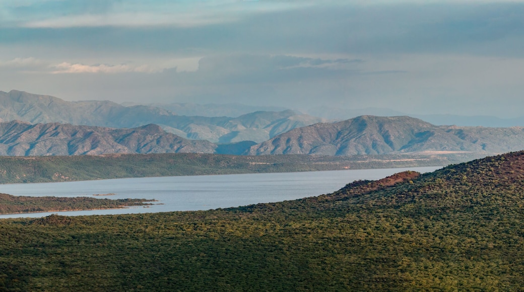 panorama of Chamo Lake natural biotope, landscape in the Southern Nations, Nationalities, and Peoples Region of southern Ethiopia. Africa Wilderness
