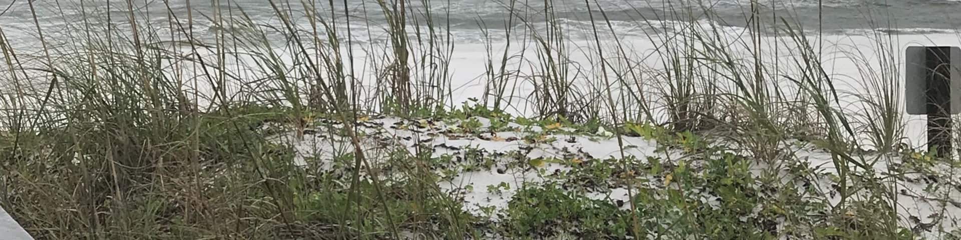 After Hurricane Michael