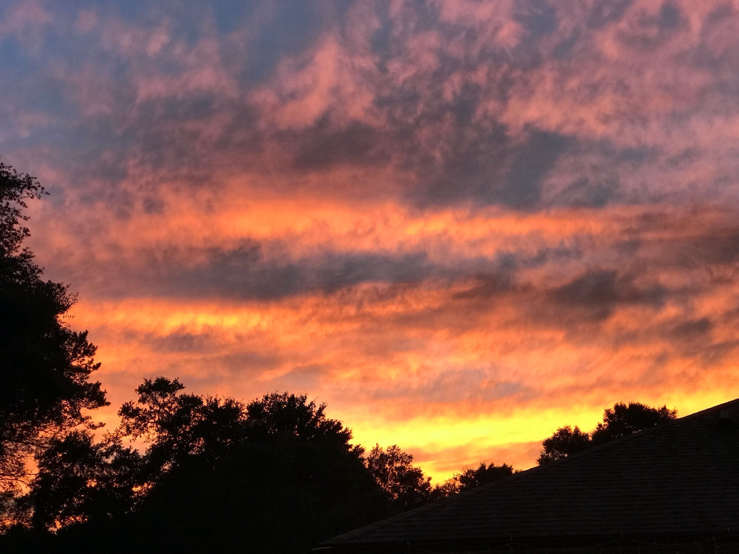 Calm before Hurricane Matthew #goldenhour