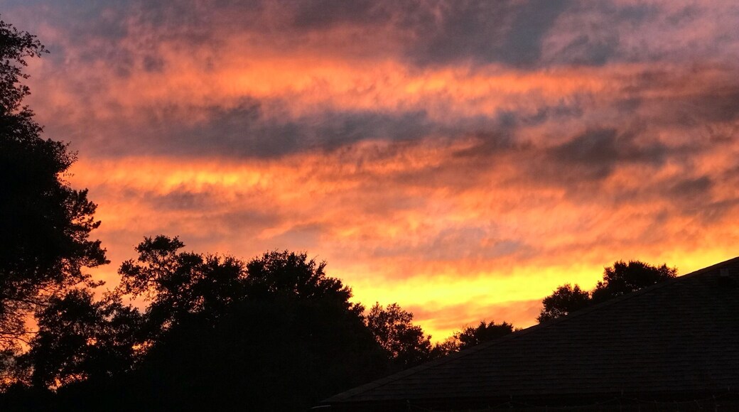 Calm before Hurricane Matthew #goldenhour