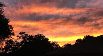 Calm before Hurricane Matthew #goldenhour