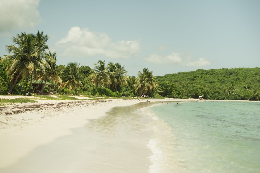 A beach with clear turquoise water, palm trees, and a green forested area.