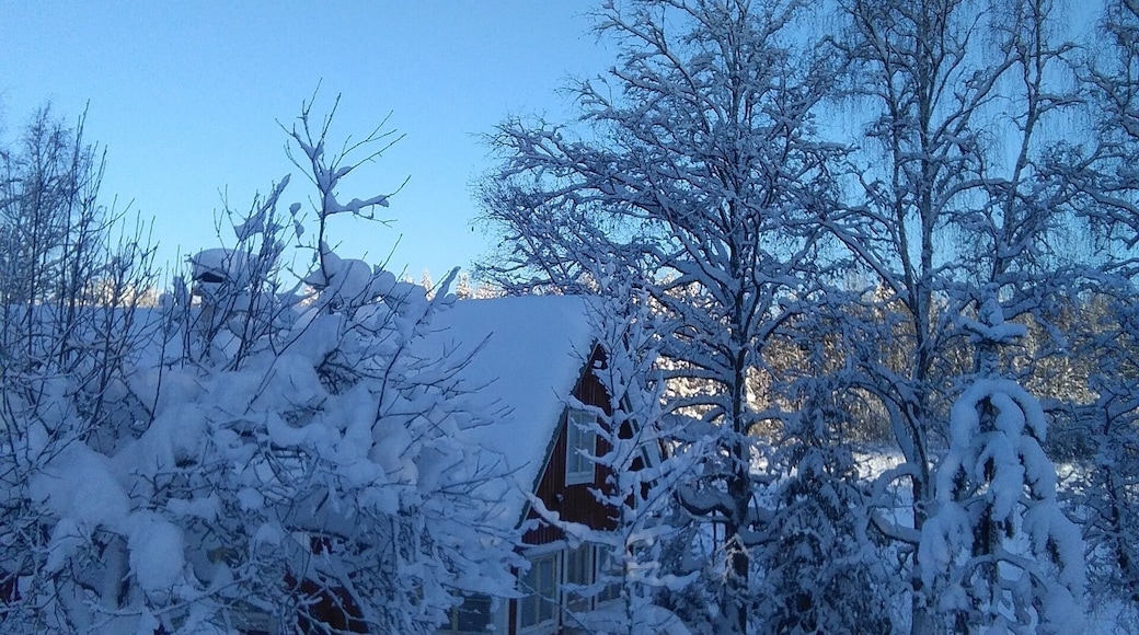 Close the Speedway stadium. Cozy red cottage by the lake having sauna beside lake. Possibility to swim both in summer on winter.