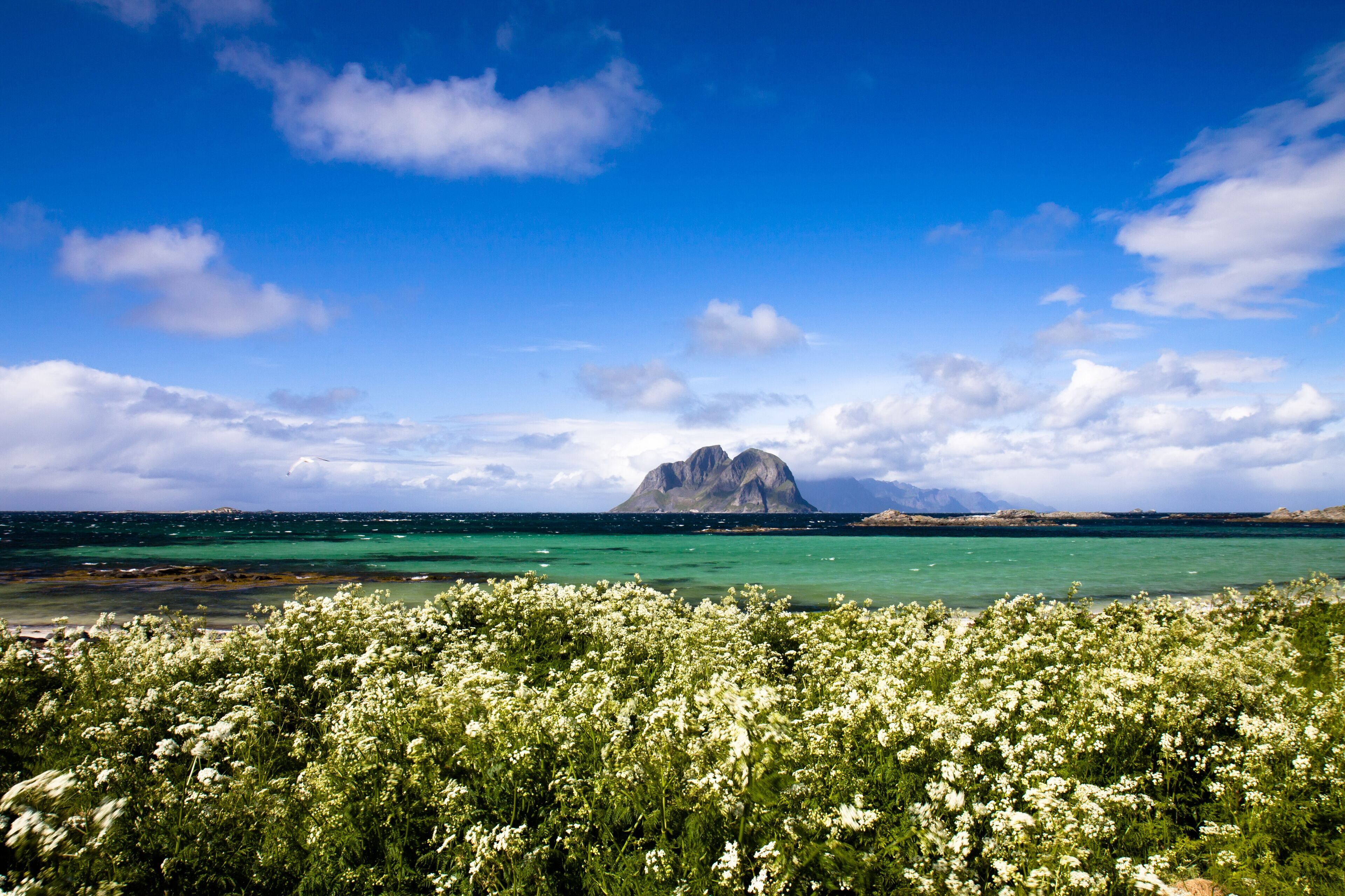Scenic beach on Lofoten islands