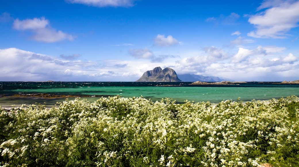 Scenic beach on Lofoten islands