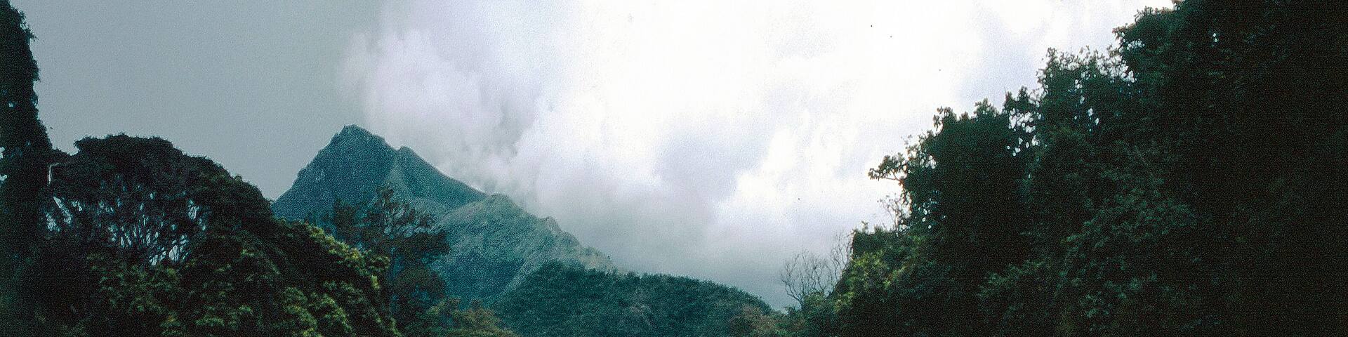 RÌÎÌã̴_o Badillo, Valledupar, Colombia