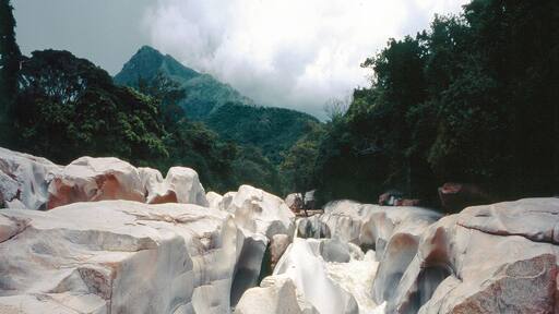 บาเยดูปาร์