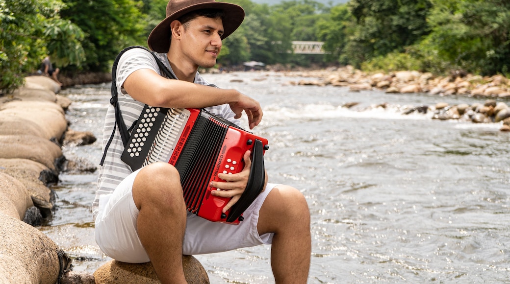 A person playing an accordion by a river with rocks and greenery in the background.
