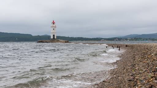 فلاديفوستوك