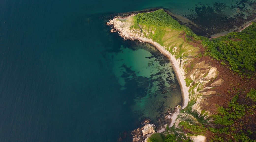 An aerial view of a coastal landscape with a sandy beach, green vegetation, and clear blue waters.