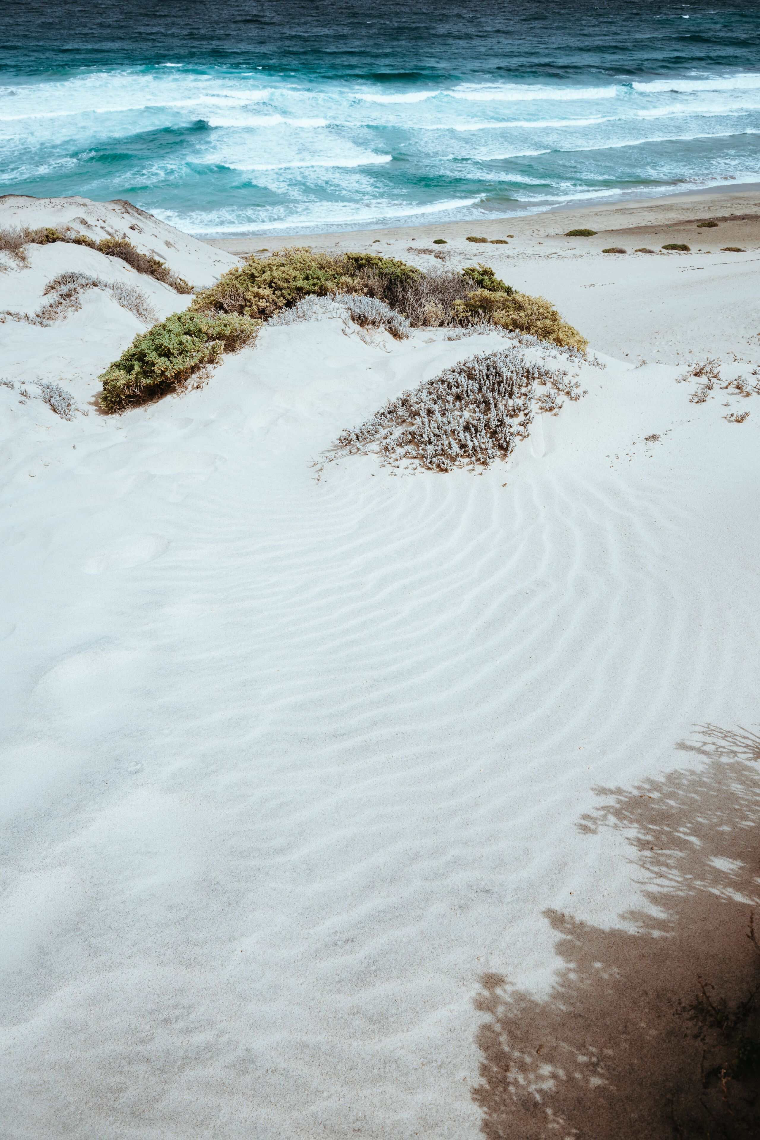 Uma praia de areia com ondas suaves e vegetação rala.