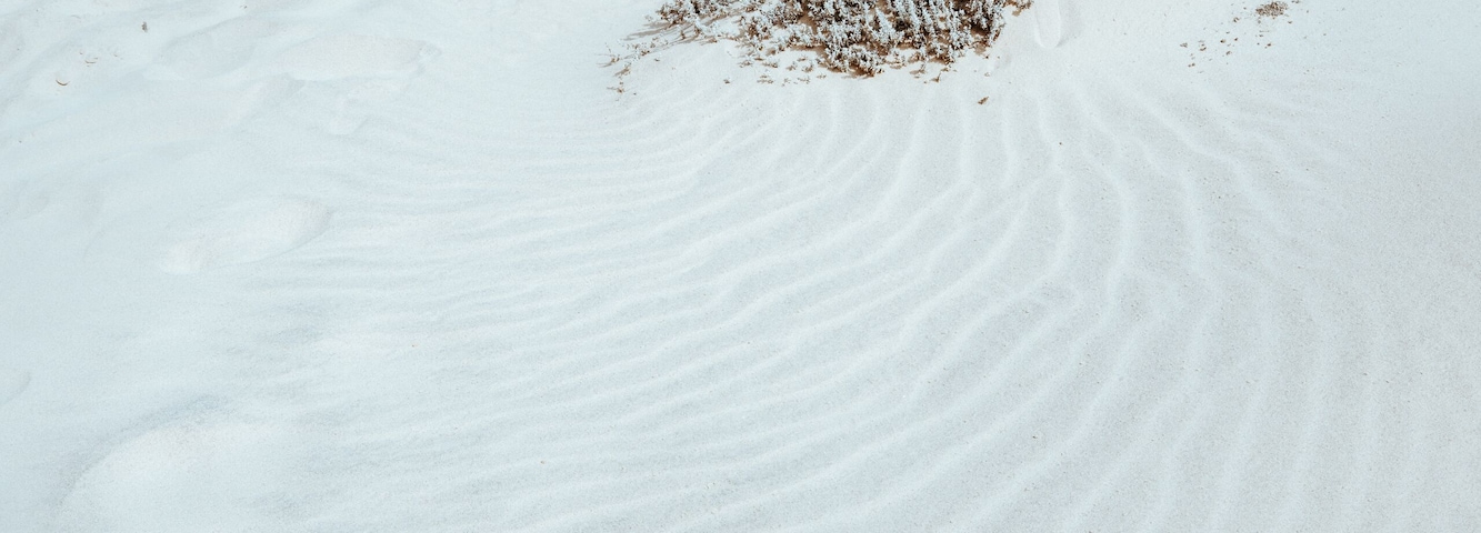 Uma praia de areia com ondas suaves e vegetação rala.