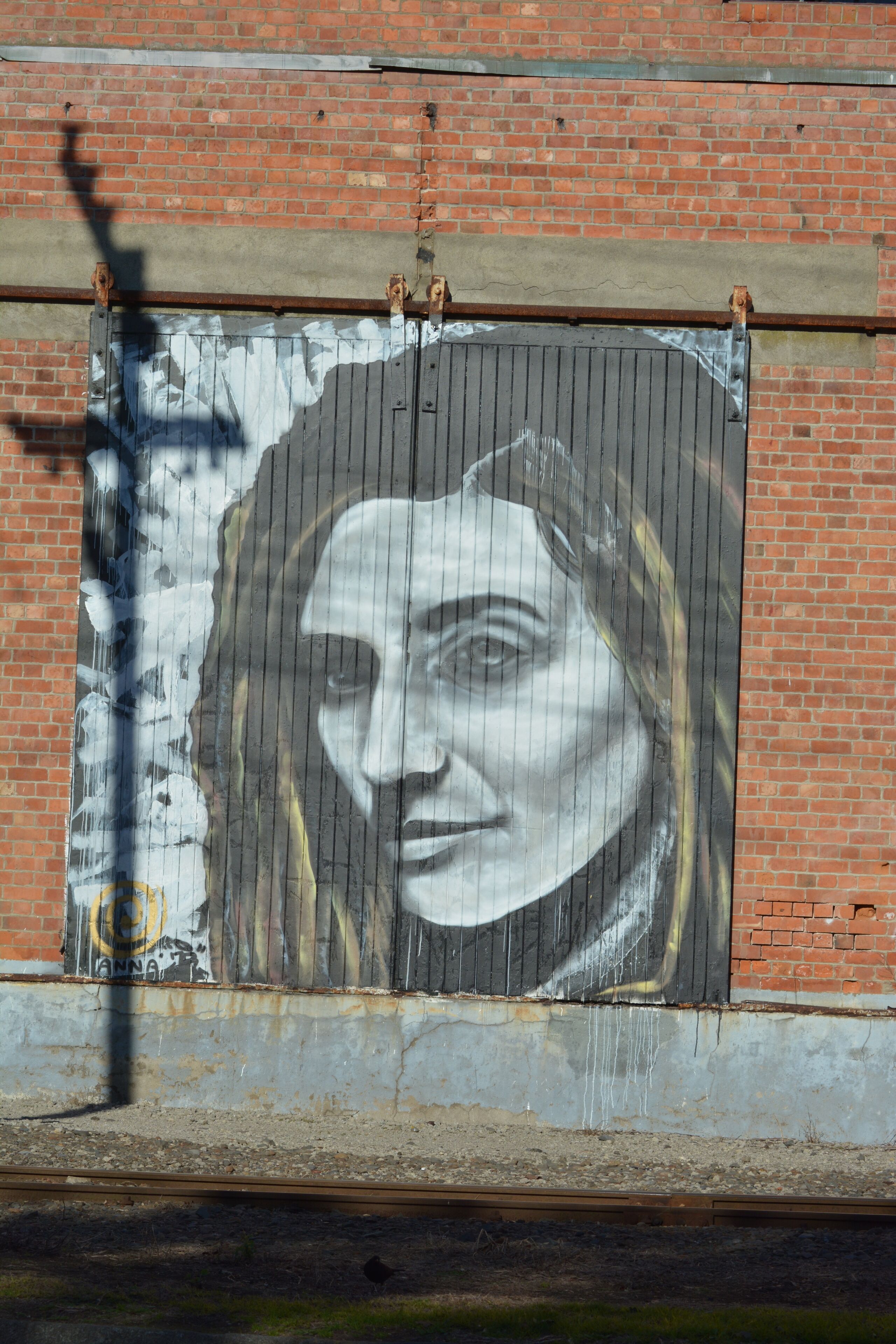 Street art in Wanganui, I thought the shadow of the telephone pole added a religious, also poetic element when you look into her eyes 