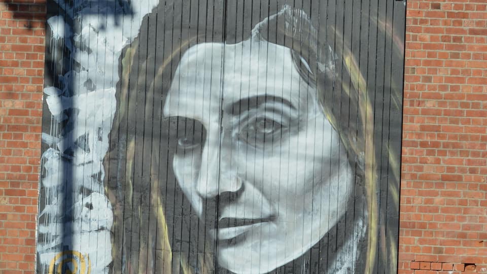 Street art in Wanganui, I thought the shadow of the telephone pole added a religious, also poetic element when you look into her eyes