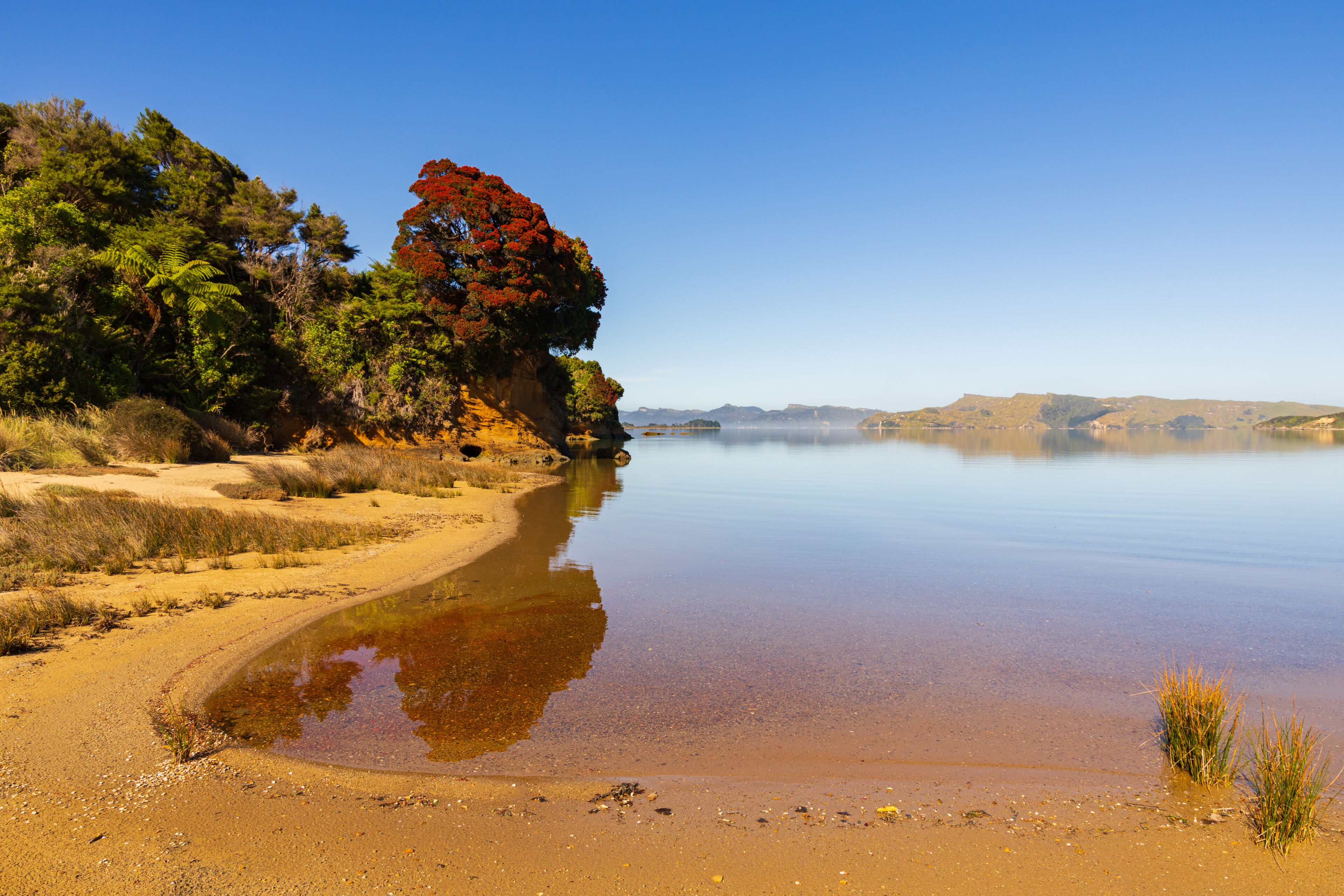 Whanganui Inlet, south Island, New Zealand