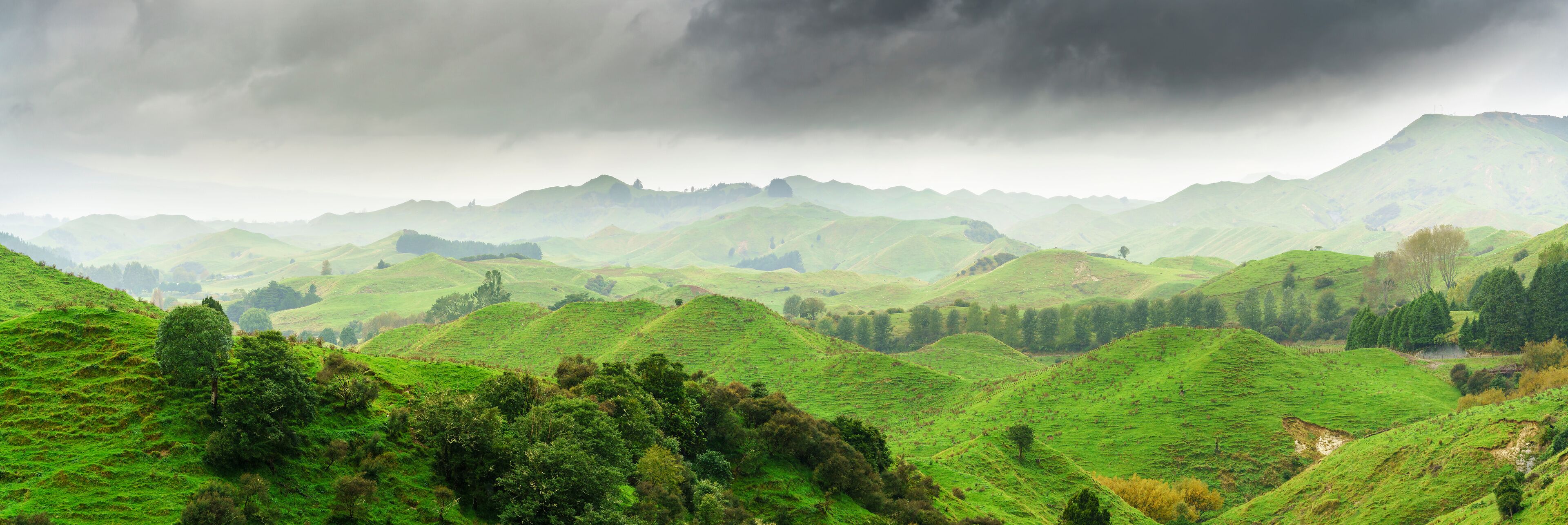 Panoramic image of beautiful scenery of mountains along the way on Whanganui river road in National Park in Autumn , Whanganui , North Island of New Zealand